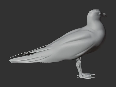 Gaivota Modelo 3D
