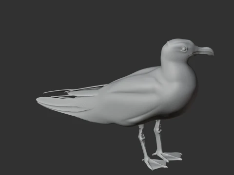 Gaivota Modelo 3D