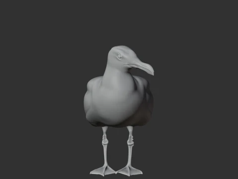 Gaivota Modelo 3D