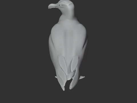 Gaivota Modelo 3D