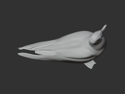 Gaivota Modelo 3D