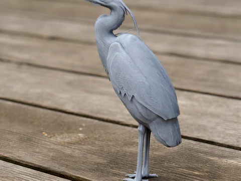 Gar&ccedil;a Modelo 3D
