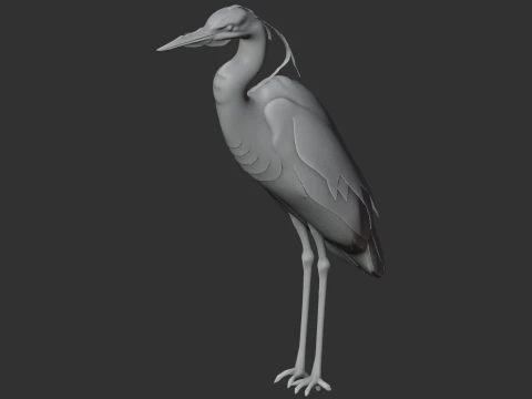 Heron 3D Model