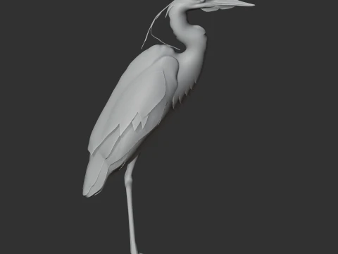 Heron 3D Model