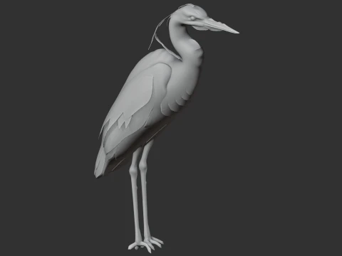 Heron 3D Model