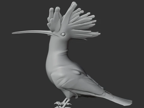 Poupa Modelo 3D