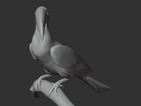 Calau Modelo 3D