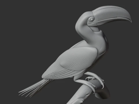 Calau Modelo 3D