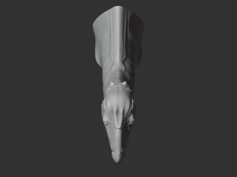 Hanssuesia 3D Model
