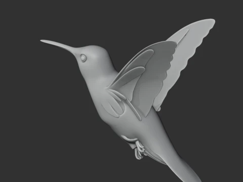 Hummingbird 3D Model