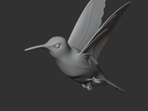 Hummingbird 3D Model
