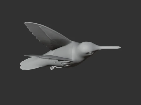 Hummingbird 3D Model