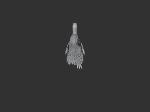 Itemirus 3D Model