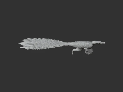 Itemirus 3D Model