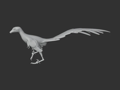 Jinfengopteryx 3D Model
