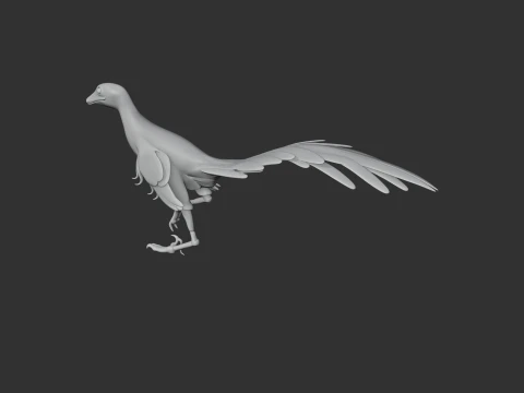 Jinfengopteryx 3D Model