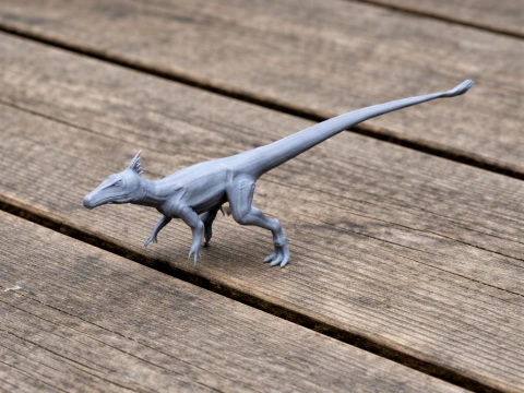 Juravenator 3D Model