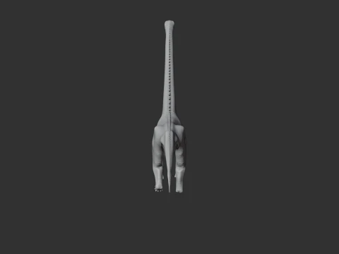 Klamelisaurus 3D Model