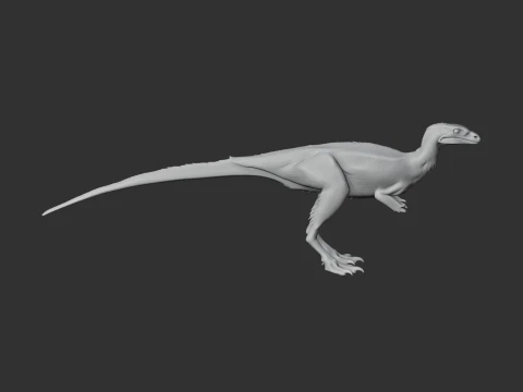 Laquintasaura 3D Model