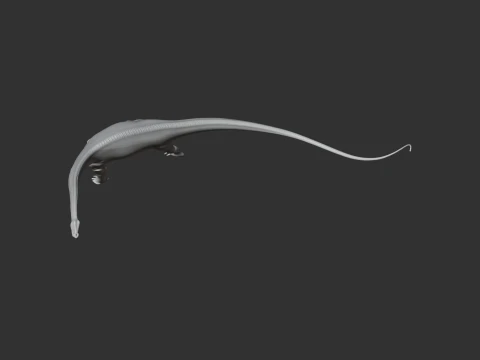 Lapparentosaurus 3D Model