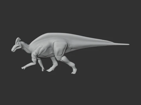 Magnapaulia 3D Model