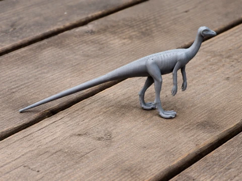 Marasuchus 3D Model