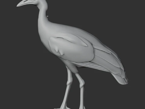 Megapode Bird 3D Model