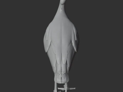 Megapode Bird 3D Model