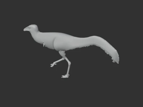 Mononykus 3D Model