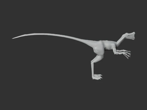 Nemegtomaia 3D Model