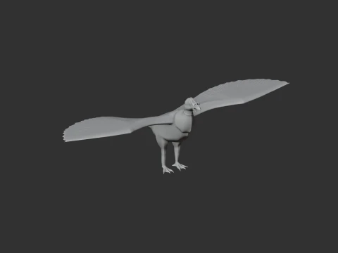 New World Vulture 3D Model