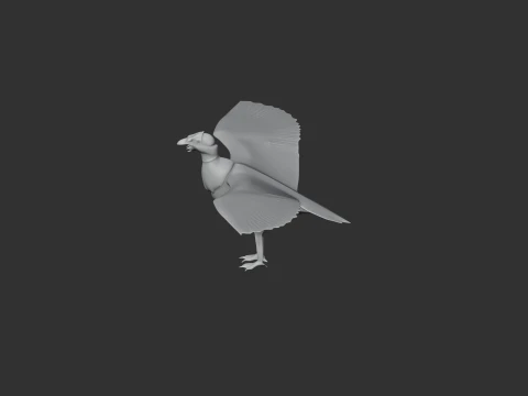 New World Vulture 3D Model