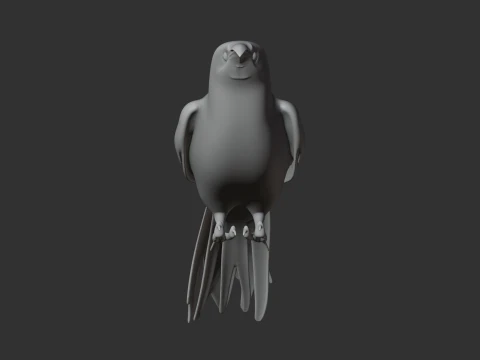 New Zealand Wattlebird Bird 3D Model