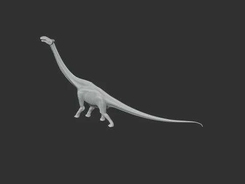 Nigersaurus 3D Model