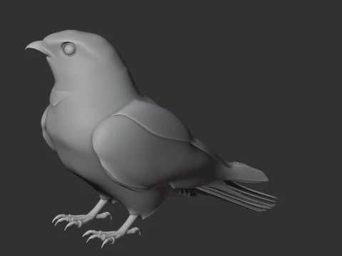 Nightjar 3D Model
