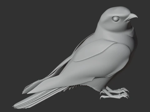 Nightjar 3D Model