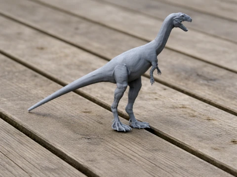 Notatesseraeraptor 3D Model