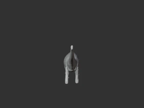 Notocolossus 3D Model