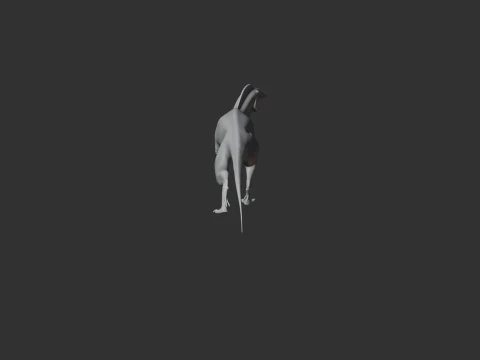 Nyasasaurus 3D Model