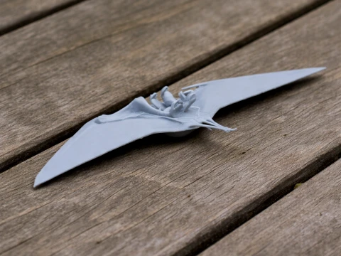 Ornithocheirus 3D Model