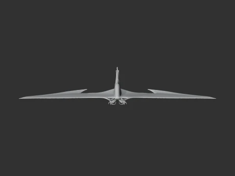 Ornithocheirus 3D Model