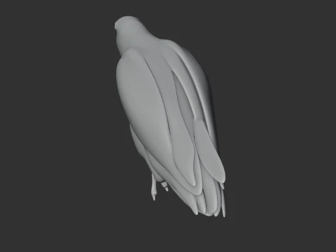 African Grey Parrot 3D Model