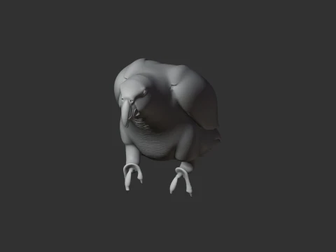 African Grey Parrot 3D Model