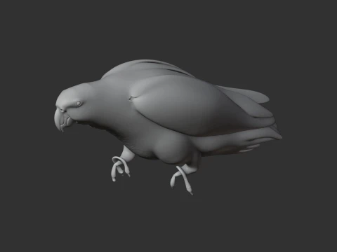 African Grey Parrot 3D Model