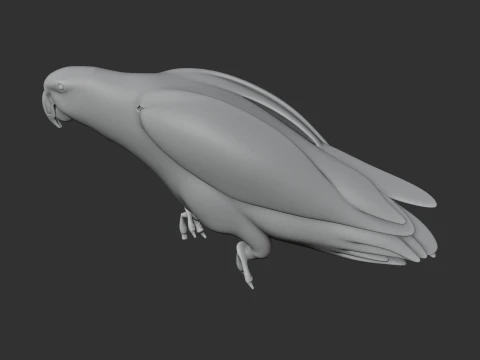 African Grey Parrot 3D Model