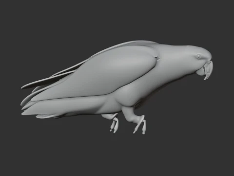 African Grey Parrot 3D Model