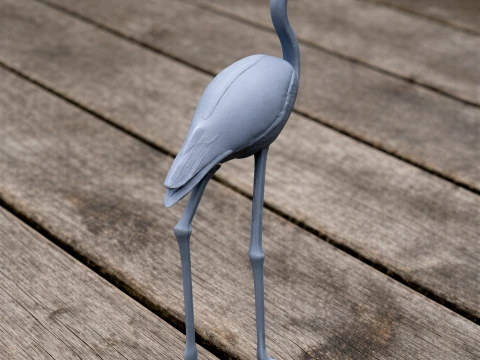 Amerikanischer Flamingo 3D Modell