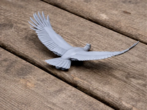 Andean Condor 3D Model
