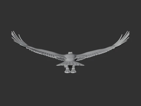 Andean Condor 3D Model