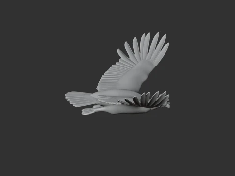 Andean Condor 3D Model